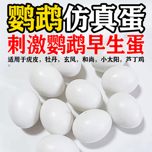 豆豆家的萌宠仿真孵化蛋假蛋引蛋