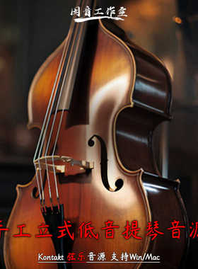 手工立式低音提琴音源NI Session Bassist Upright Bass音色真实