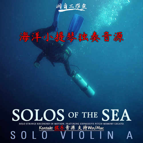 海洋小提琴独奏编曲音源