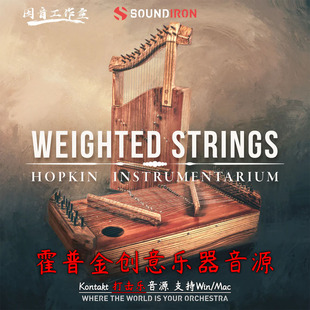 Strings Weighted kontakt Hopkin 霍普金创意乐器音源Soundiron