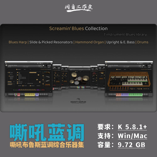 嘶吼蓝调布鲁斯综合乐器合集