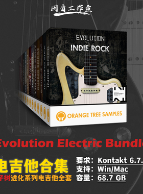 橘子树电吉他音色库合集Orange Tree Samples Evolution Electric