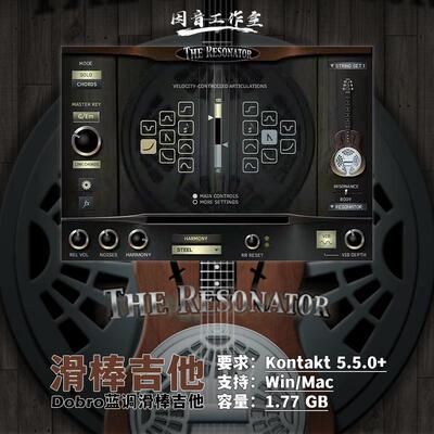 蓝调乡村民谣滑棒吉他Dobro