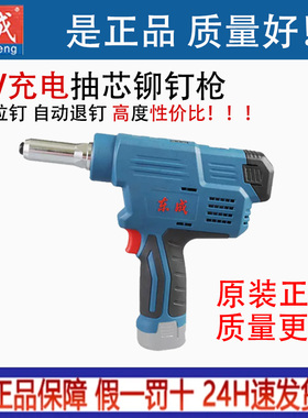 东成充电式铆钉枪电动拉铆枪东城锂电自动抽芯便携铆接机DCPM50E