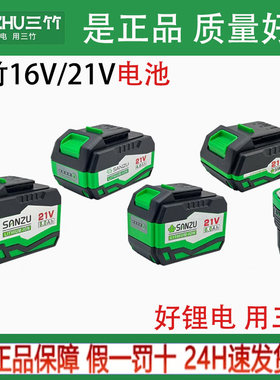三竹锂电池8.0Ah锂电池