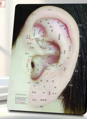 耳朵全息图耳朵反射区相框装饰画摆台耳朵经络血脉门诊医院展示板