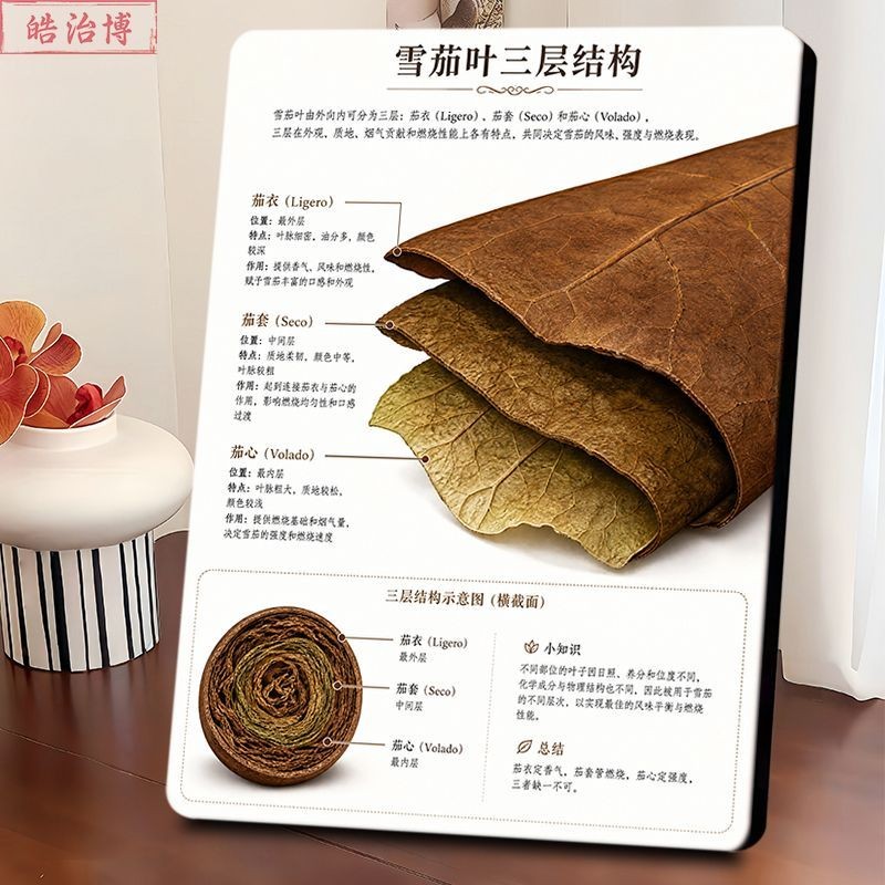 雪茄茄衣茄套茄心结构图相框烟酒行雪茄吧艺术创意装饰画摆件新款