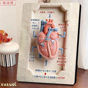 人体心脏血流方向图解科普装饰相框心房心室瓣膜示意医院走廊装饰