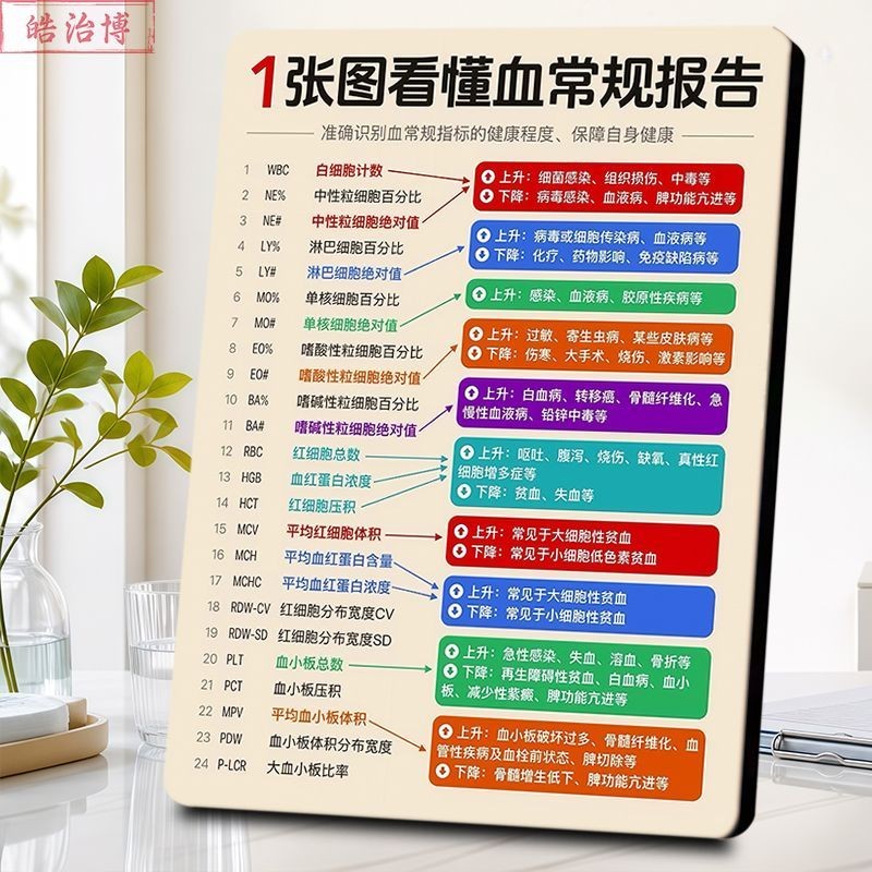 血常规 24 项指标科普挂画相框验血报告单升降含义解读桌面摆台