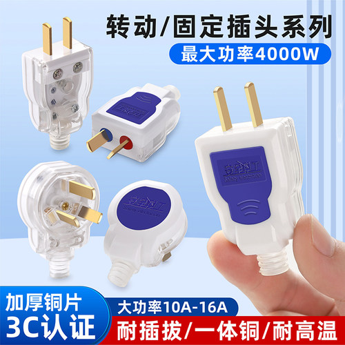 纯铜大功率插头家用工地二脚10a