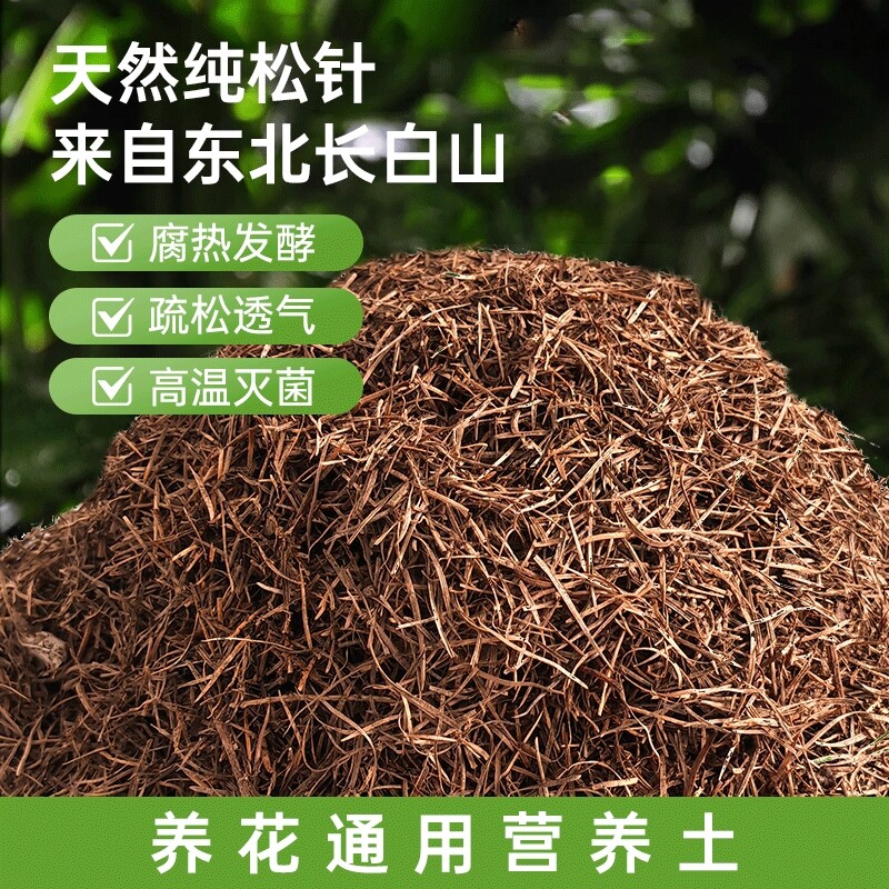 杜鹃花专用土兰花松针土橡树叶腐叶腐熟松针多肉君子兰天然腐殖土