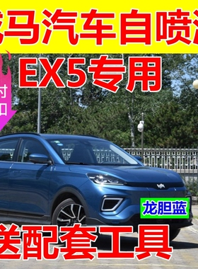 威马EX5云金补漆笔白色自喷漆红色车漆汽车划痕修复车身油漆专业