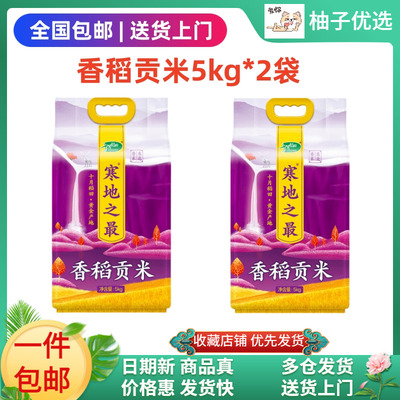 十月稻田寒地之最大米贡米20斤