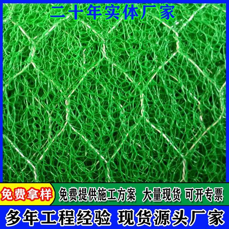 加筋麦克垫聚丙烯热镀锌加筋网垫高尔凡边坡绿化三维加筋土工网垫