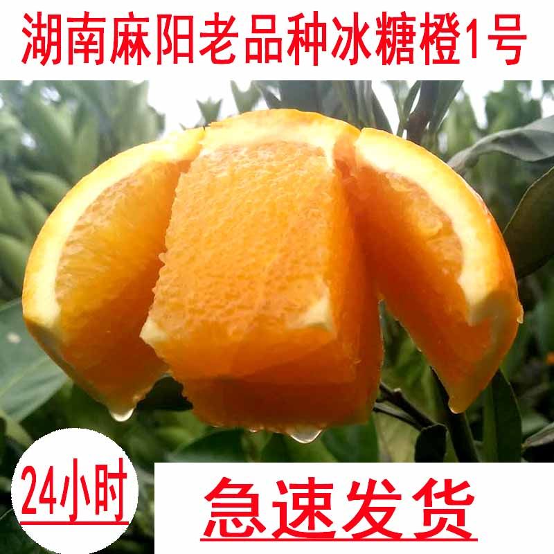 正宗冰糖新鲜甜橙装非云南橘子