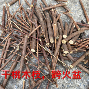 出狱拘留所看守所跨火盆去晦气材料套装桃木柴敲手棒柚子叶一次性