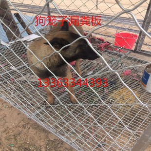 厂家销狗笼子漏粪底网镀锌编织底网漏粪底网鸽棚专用底网养殖用网