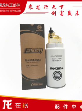 乘龙汽车H7.H5.M3 原厂正品潍柴滤芯1003697990A