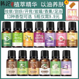 韩纪艾草精油玫瑰薰衣草生姜茶树葡萄籽桂花陈皮沉香橄榄椰子按摩