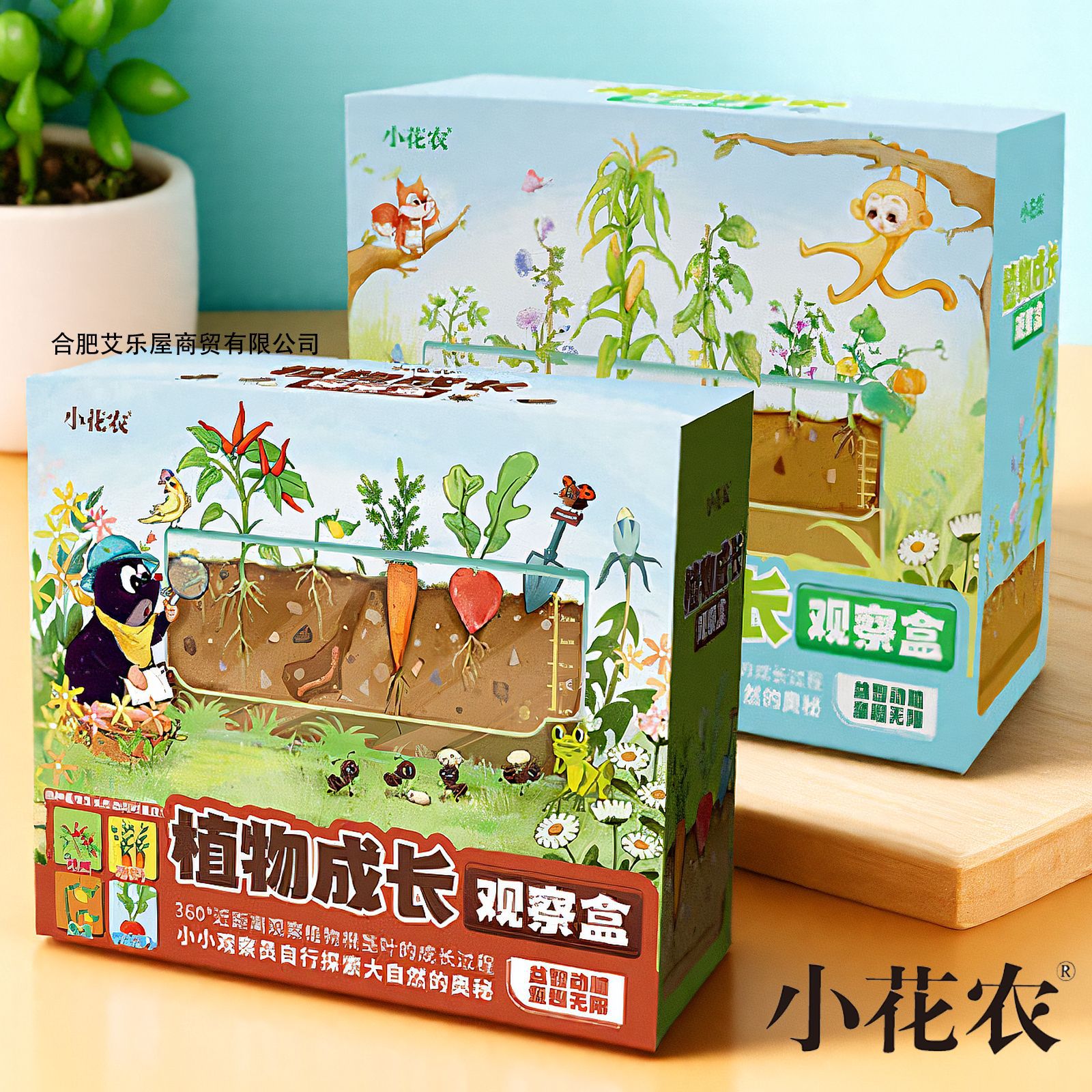 儿童蔬果根系成长观察盒益智