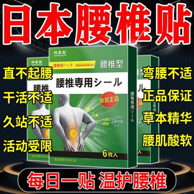 日本腰椎部位型贴膏腰椎不适疼痛