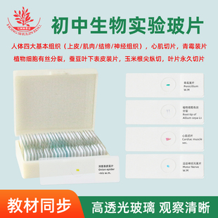 初中热门生物教学同步实验观察玻片标本含霉菌玻片人血涂片迎春叶