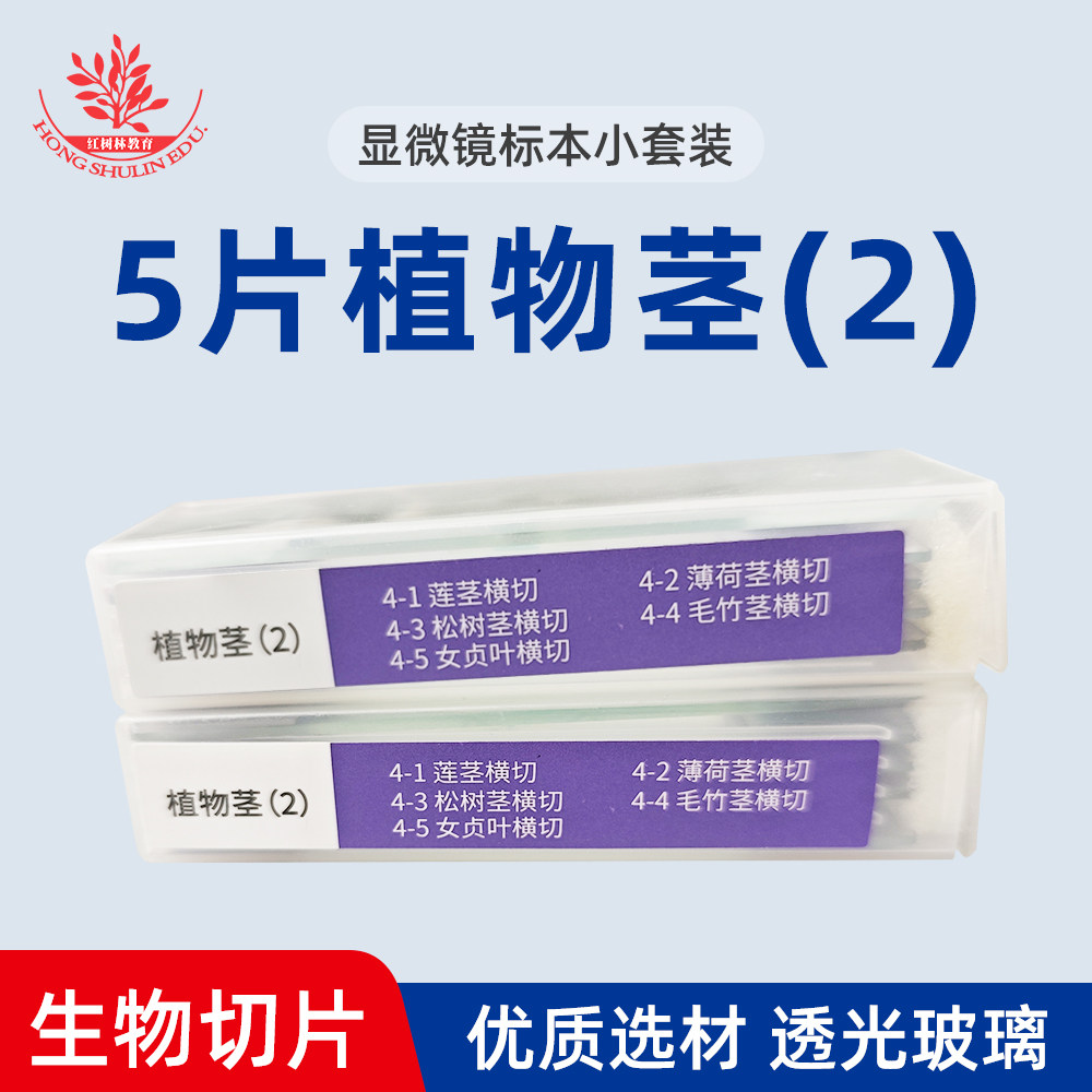 植物茎五片小套装松树茎横切女贞叶横切生物教学用显微镜标本切片