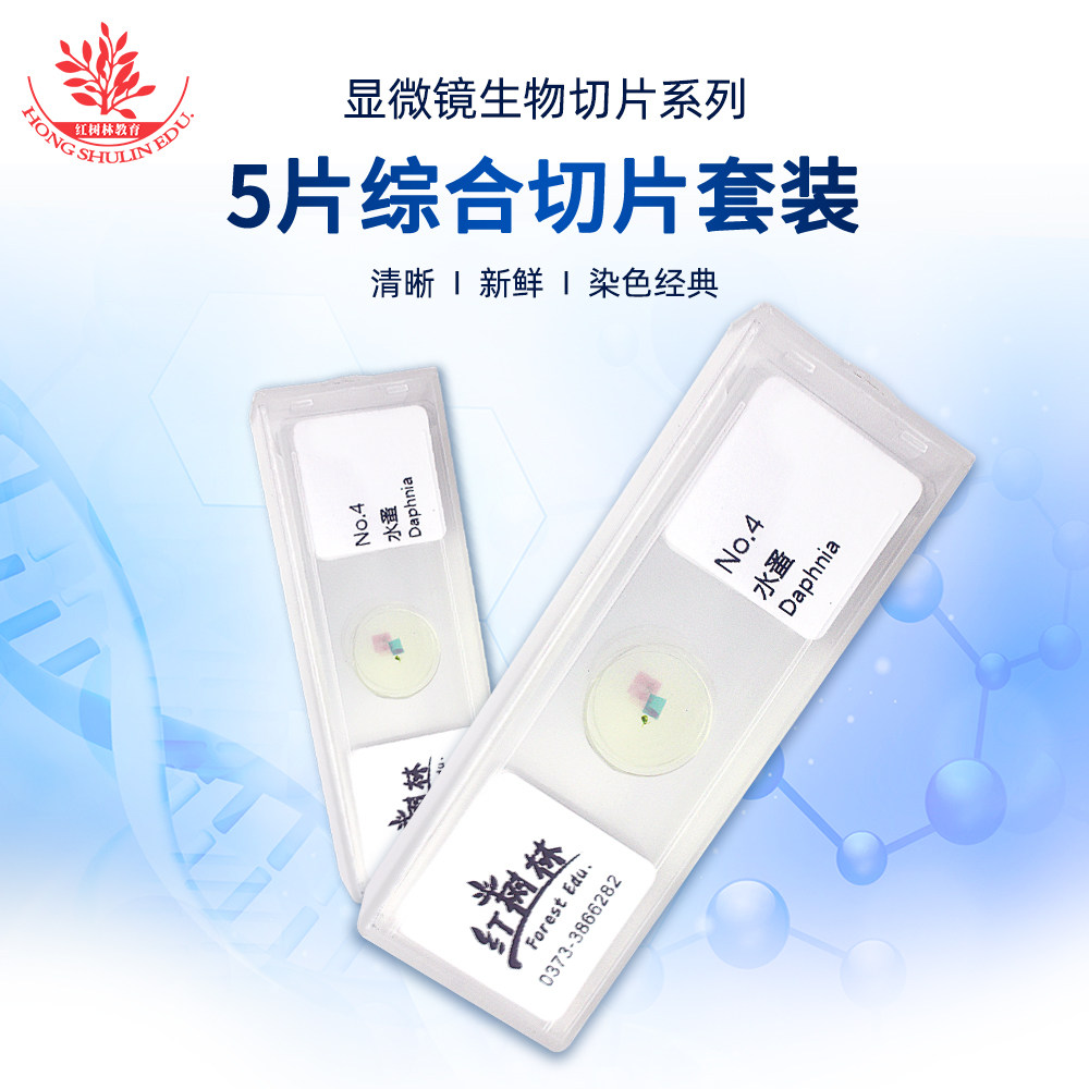5片生物显微镜标本切片染色经典取材新鲜玻片清晰学生用显微玻片