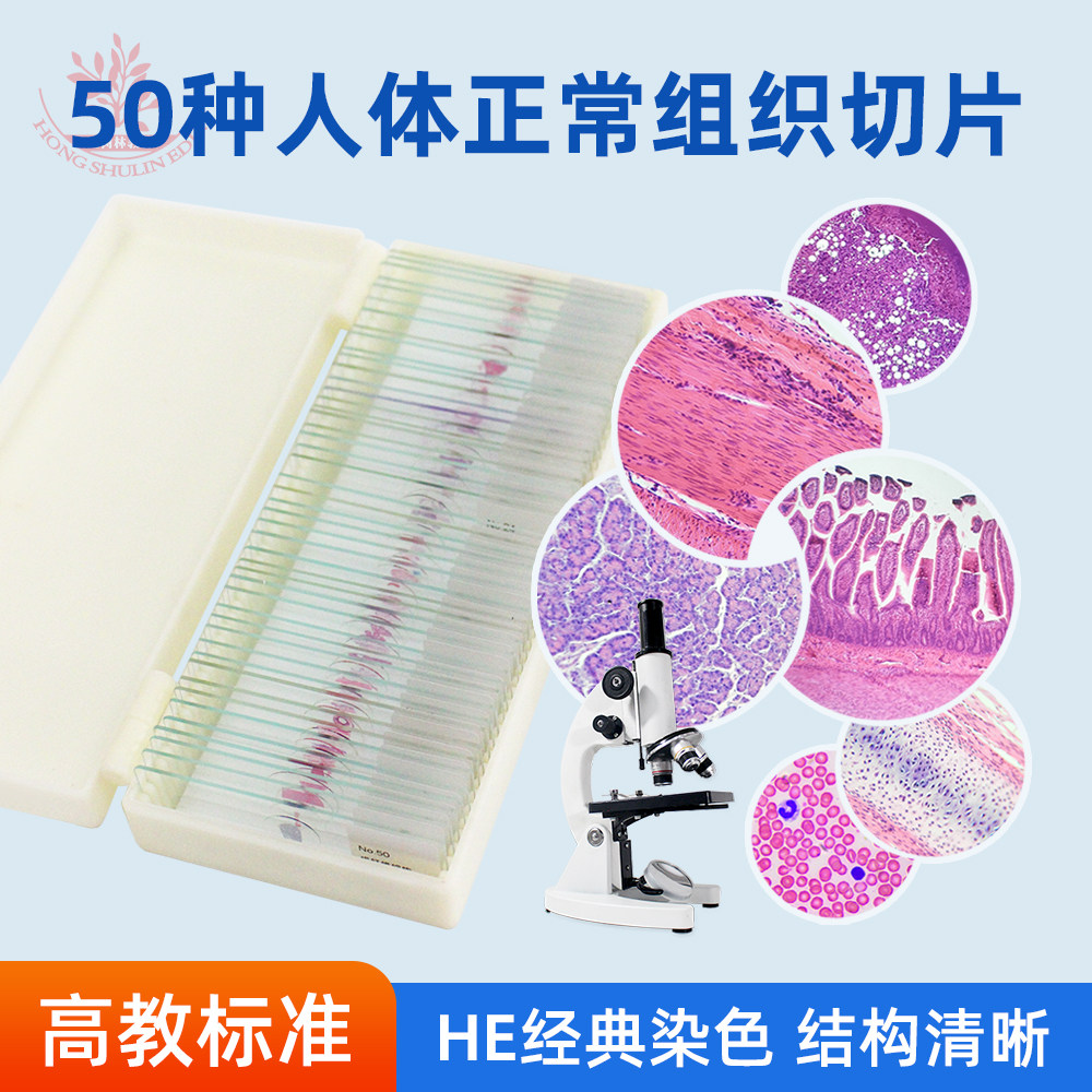 50种人体正常组织切片套装生物显微镜标本高教科研教学用生物切片