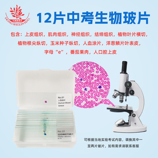 12片中考生物实验考试观察玻片含人血涂片植物根尖四种基本组织