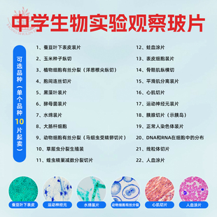 心肌切片迎春叶横切中学生物同步观察玻片植物细胞有丝分裂装片