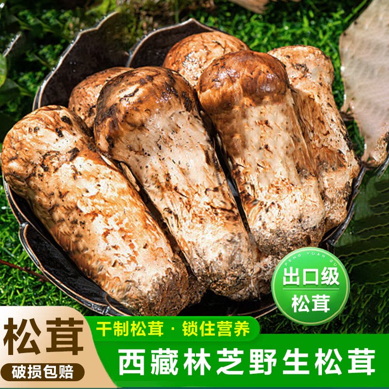 青藏特产西藏林芝达娃曲珍烘干松茸正宗野生巴松措鲁朗波密特产