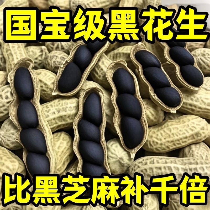 富硒黑花生带壳小粒原味黑花生味甜黑皮花生米500g黑花生云南特产