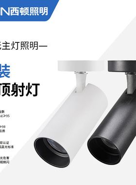 西顿照明led轨道射灯明装吸顶式防眩家用调节洗墙导轨灯CEX9118C