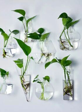 1Pc Wall Hanging Glass Flower Vase Terrarium Wall Fish Tank