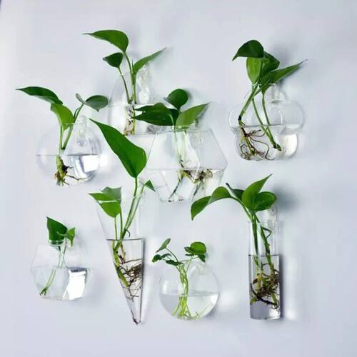1Pc Wall Hanging Glass Flower Vase Terrarium Wall Fish Tank