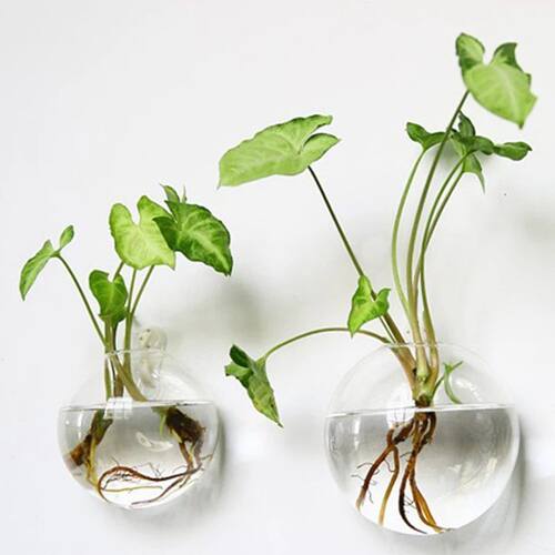 Hydroponic Glass Vase Wall Hanging Terrarium Transparent Flo
