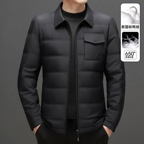 2024 Shirt Collar White Duck Down Business Casual Cold-proof