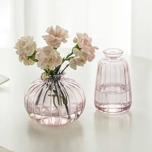 Decorative Flower Bottle Modern Mini Glass Vase for Flowers