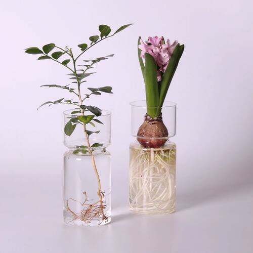 MagiDeal Clear Hyacinth Glass Vase Creative Flower Planter P