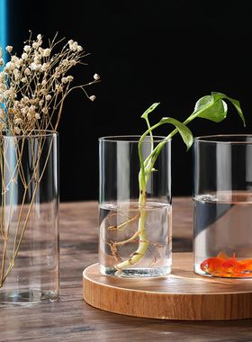 Simplism Glass Hydroponic Vase Modern Small Cylinder Flower