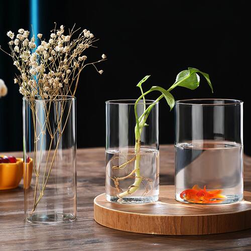 Simplism Glass Hydroponic Vase Modern Small Cylinder Flower
