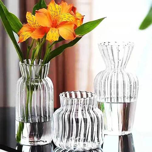 1pc Nordic Creative Transparent Vases for Plant Bottle Flowe