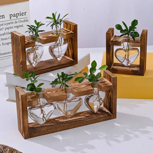 Wooden Frame Glass Vase Hydroponic Plant Vase Vintage Flower