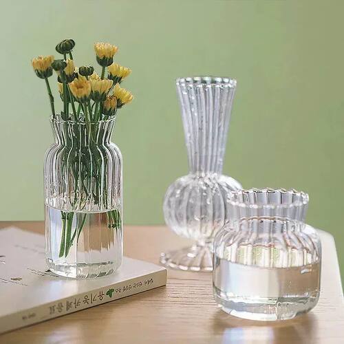 Nordic Glass Flower Vase Flower Bottle Glass Vase for Flower