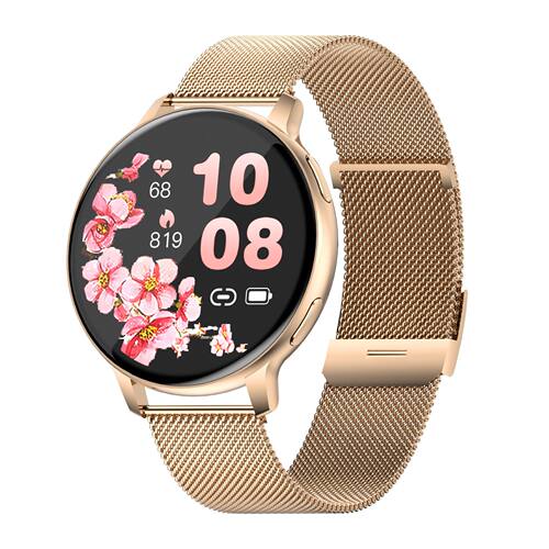 S53 Smart Watch 1.39-inch Round Screen Bluetooth Call Pedome