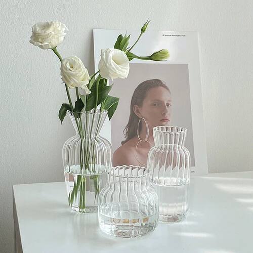 Transparent Glass Vases for Plant Bottle Nordic Flower Vase