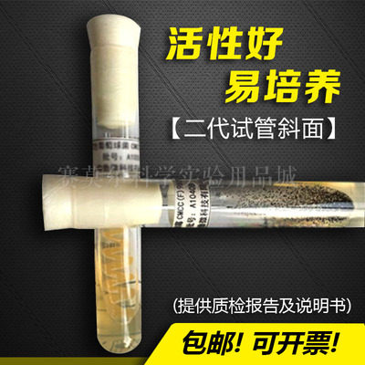 Clostridium sporogenes CMCC (B) 64941 Standard strain Quality control strain glycerol /The two generation of inclined planein the Lubricating/Tackiness/Reagents/Lab Supplies, Reagents category - from Buy2taobao.com to provide professional Taobao agent buy service