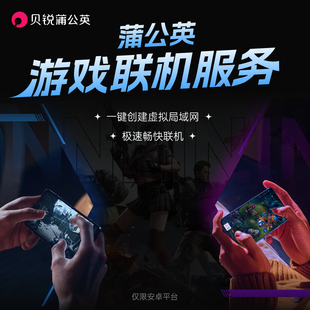 蒲公英游戏联机服务会员VIP局域网游戏联机游戏提速