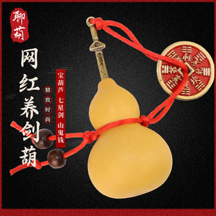 聊葫天然养剑葫芦手把件铜制七星剑摆件挂件精品山鬼钱插剑葫八卦